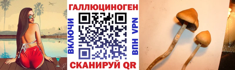 как найти   Алупка  Галлюциногенные грибы MAGIC MUSHROOMS 